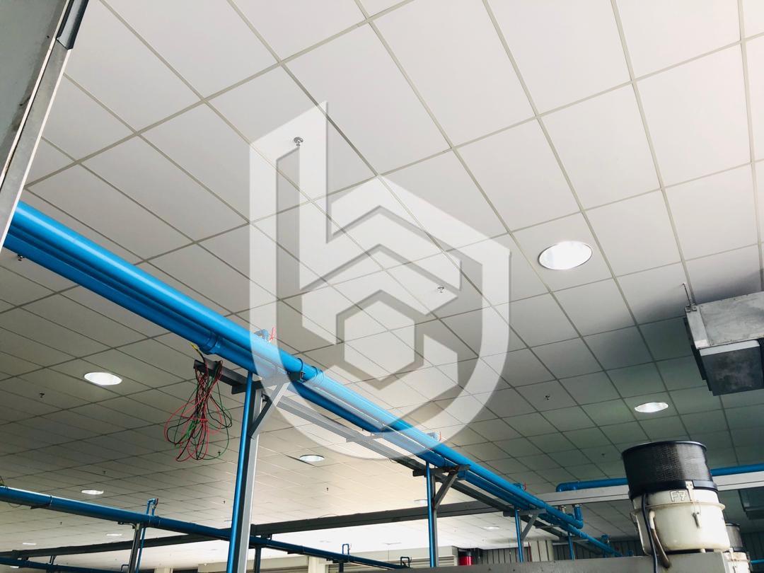 Suspended Ceiling